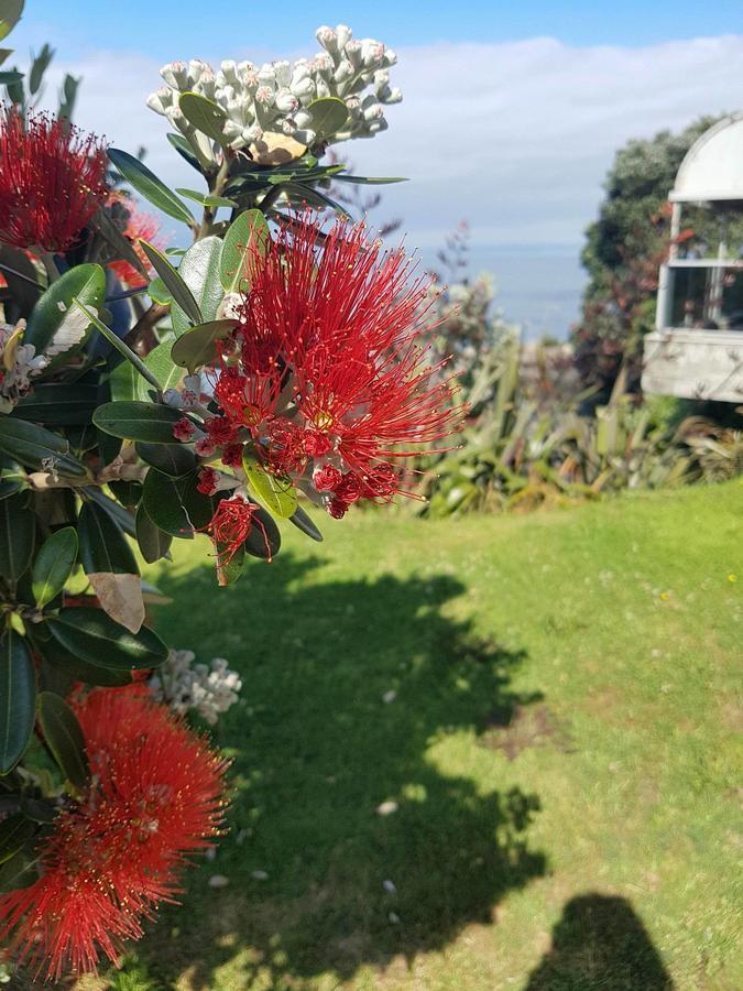 Te Kaha Beach Hotel Eksteriør bilde